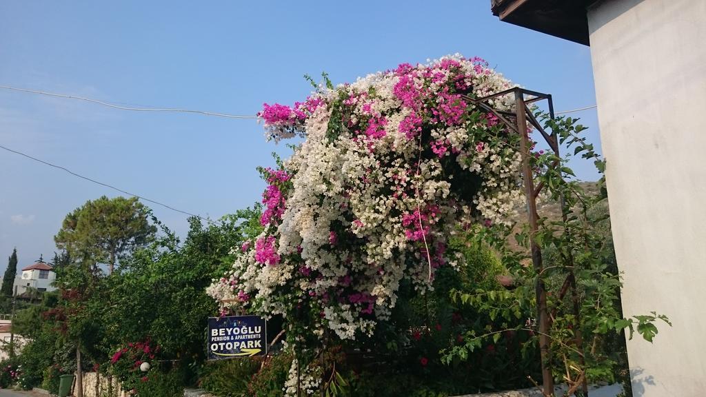 Beyoglu Pansiyon Patara Esterno foto
